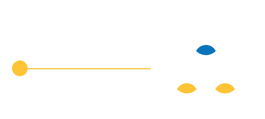 Access to Leading Employers